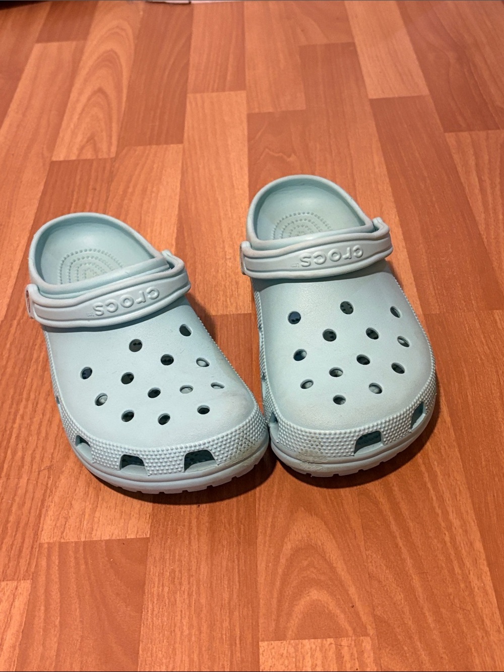 CROCS Classic Clog in Seafoam